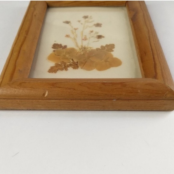 Pressed Flower Framed Wall Art 1998 Artist
Signed Floral Decor - Picture 6 of 12